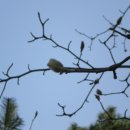 선학파출소 이미지