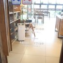 다정동_다정센타프라자앞 | 세종 외식 다정동 점심 테이블레이 파스타 스테이크 맛집