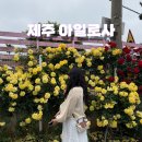 제주 동쪽 가볼만한 곳 장미정원 아일로사 방문 후기