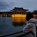 경감로4(남) | 생각보다 빨리 돌아온 나의 경주 여행 (1박2일 이지만 당일치기 코스를 곁들인,,,)