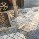 남중하나마트 | 당신이 왜 SNU in Madrid를 선택해야 하는가... (1)