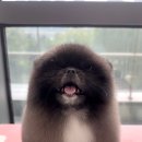 쓰리빈 이미지
