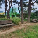 상안어린이공원 화장실 이미지