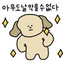 달넛 이미지