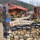 정희네 들꽃이야기 이미지