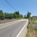 중문동-1 이미지