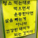 금강에어로빅
