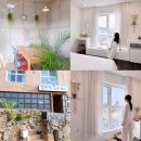 게스트하우스 | 제주도 게스트하우스 추천 제주 협재 서쪽 게스트하우스 후기