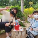 미예뜰유치원 이미지
