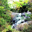 산청지리산힐링센터