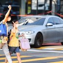 스쿨존 사고 80%이상 30km 이하에서...여전히 위험한 학교앞 이미지