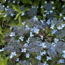 그 시절 추억의 테마공원 선녀와 나무꾼 | 제주도 여행 추천코스 1960년대 향수로 떠나는 여행 선녀와나무꾼테마파크