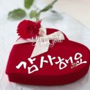 해피데이 Daum카페