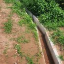 영양햇빛발전소 이미지