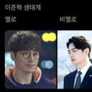 멜로비 Daum카페