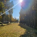 용산배수펌프장 이미지