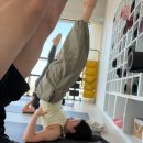 데이즈 | 요가데이즈 아쉬탕가 led 후기