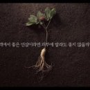 아모레카운셀러 이미지