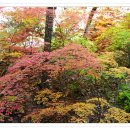 선녀계곡 이미지