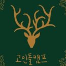 양양고인돌캠프 이미지