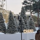 컨버스롯데의왕 | 어그 막차 탑승/어그 클래식 미니 사이즈 후기 면세로 저렴하게 사기 어그 키즈 구분법