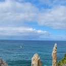 삼척해변역 관광안내소 | [동해여행] 촛대바위와 능파대