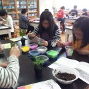 힐링 원예교실 이미지