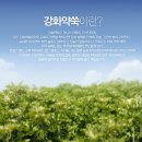 마니수 | [솔약사네]-우리몸에 잘 맞는 <강화사자발쑥진액<마니수>로 건강한 삶을 살자~!