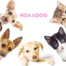 업&도그 이미지