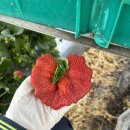 우리팜 농장 이미지