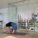 데이브 스튜디오 이미지