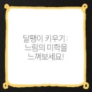 미학 이미지