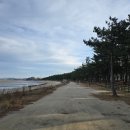 무안황토갯벌랜드 이미지