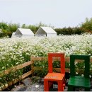 오늘여기 이미지