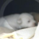 월출산힐링팜 이미지