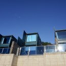 온실속베니 이미지