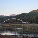 정이품송공원 화장실 이미지