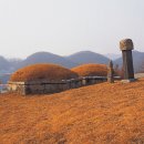 내리1리 마을회관 네이버블로그