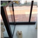 굿데이멍 이미지