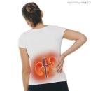 대연탑비뇨의학과의원 | 요로결석의 대표적인 치료 방법인 부산체외충격파 쇄석술!