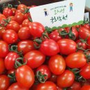 국희농장 이미지