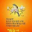 아 석 정 이미지