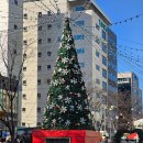 월화공원(부흥마을) | 강원도 강릉 가볼만한곳 추천 강릉월화거리 겨울축제