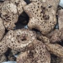 설악산건강원 이미지