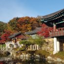 서화 이미지