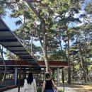 초록숲 하우스 이미지