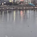 애마다방 이미지