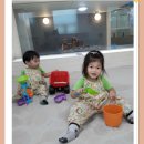 꼬마대통형 Daum카페