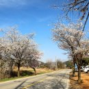 보헤미안펜션 이미지