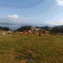 남해목장 이미지